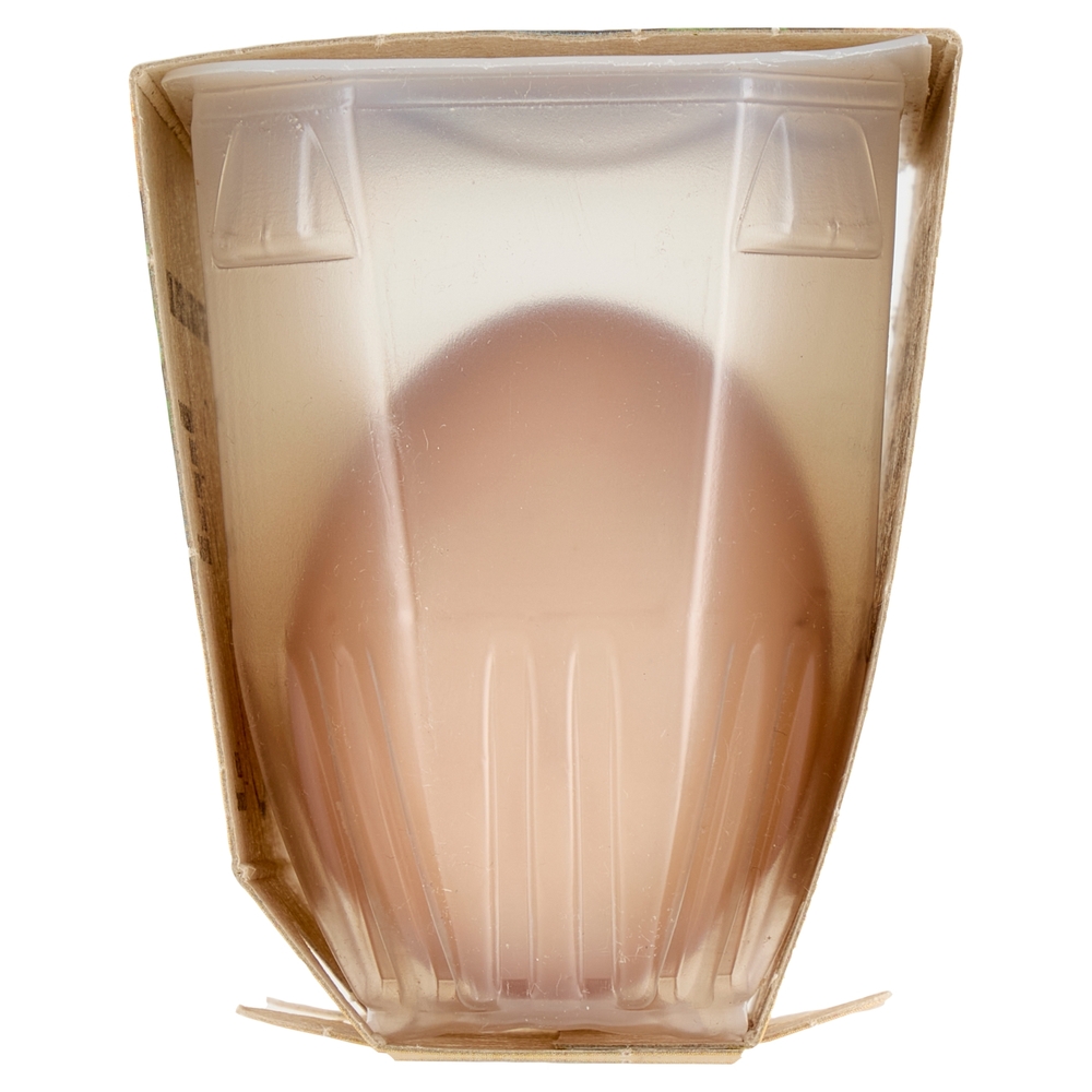 Fileni Uova Biologiche 2 Uova Fresche 110 g
